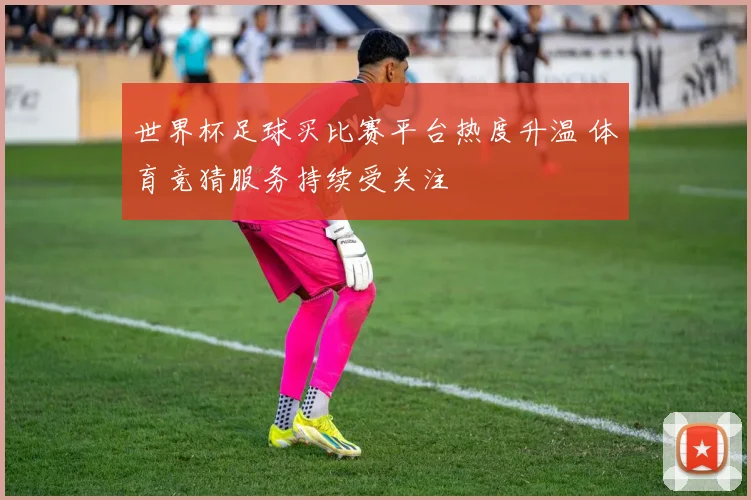世界杯足球买比赛平台热度升温 体育竞猜服务持续受关注