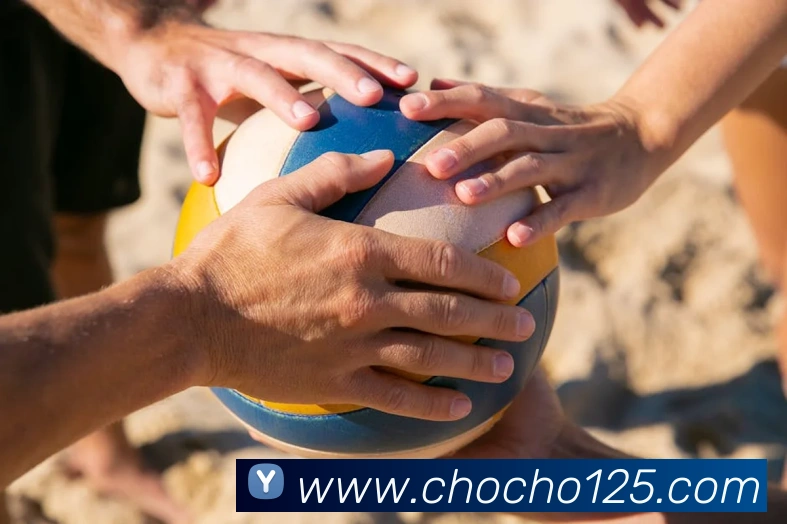 人人体育直播发展历程